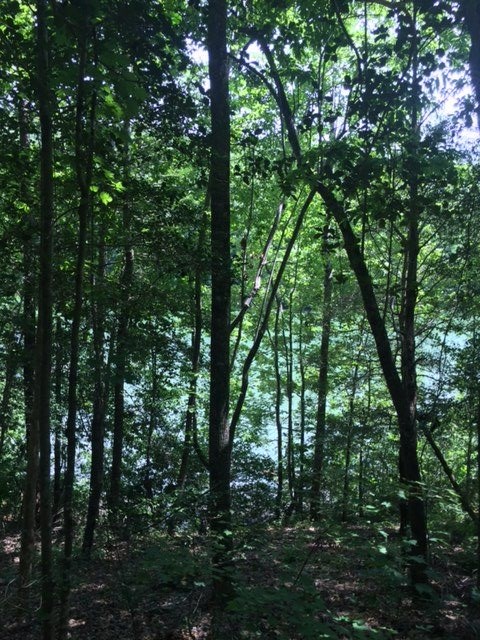 Property image 4 at Lot 13-B Estates at Riverstone, Salem, SC 29676