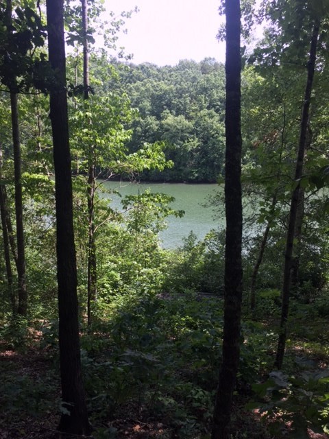 Property image 5 at Lot 13-B Estates at Riverstone, Salem, SC 29676