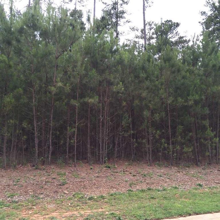 Property image 3 at 110 Abaco Lane, Seneca, SC 29678