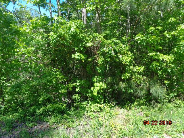 Property image 2 at 206 Dursely Drive, Anderson, SC 29625