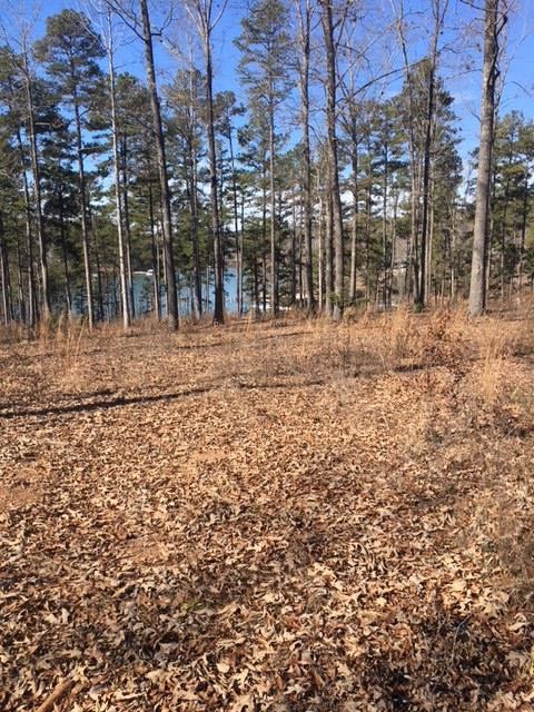Property image 4 at Lot 12 Crooked Trace Lane, Seneca, SC 29672