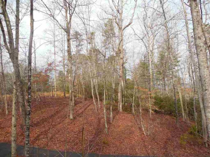 Property image 2 at 1E Watermelon Way, Tamassee, SC 29686