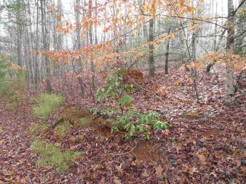 Property image 3 at 1E Watermelon Way, Tamassee, SC 29686