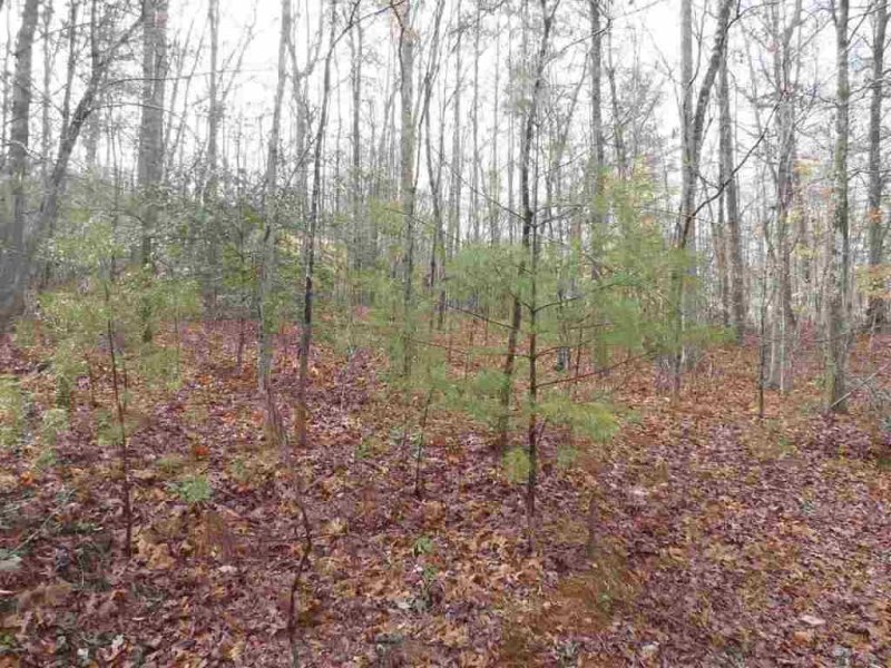 Property image 4 at 1E Watermelon Way, Tamassee, SC 29686