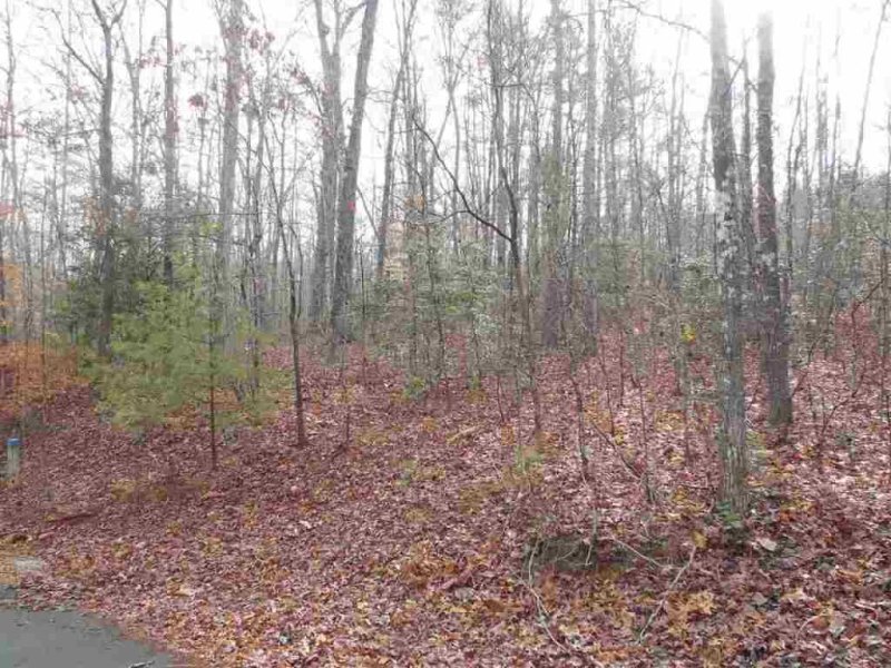 Property image 5 at 1E Watermelon Way, Tamassee, SC 29686