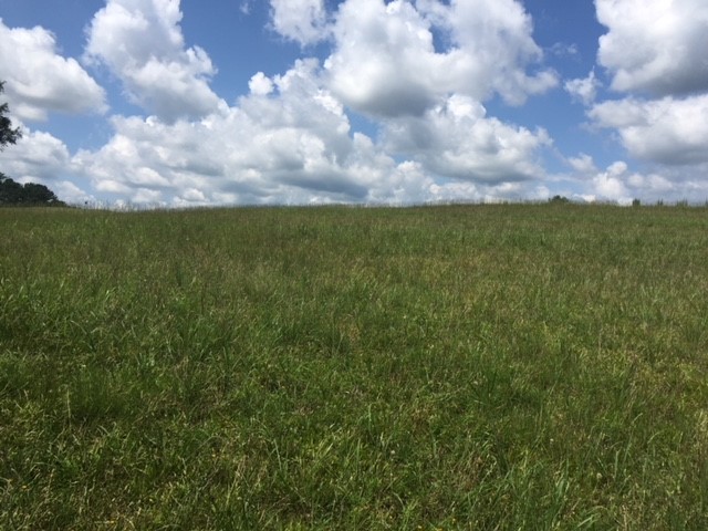 Property image 4 at lot 44 Spyglass Lane, Seneca, SC 29678