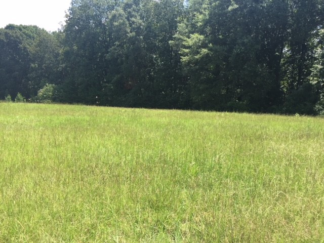 Property image 5 at lot 44 Spyglass Lane, Seneca, SC 29678