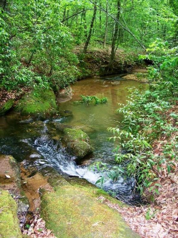 Property image 3 at 202 JULIE Way, Pickens, SC 29671