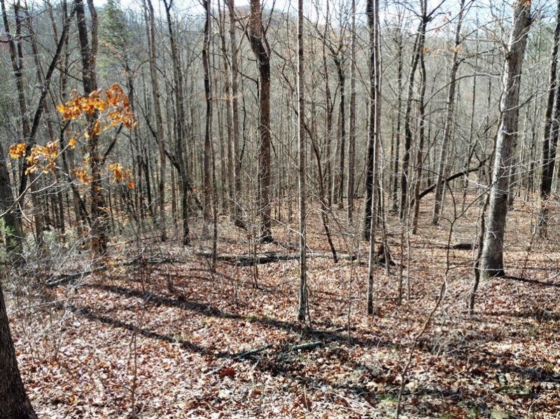 Property image 5 at 202 JULIE Way, Pickens, SC 29671