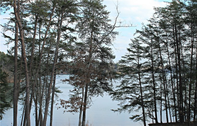 Property image 2 at Lot 47-B Retreat Pointe Road, West Union, SC 29696