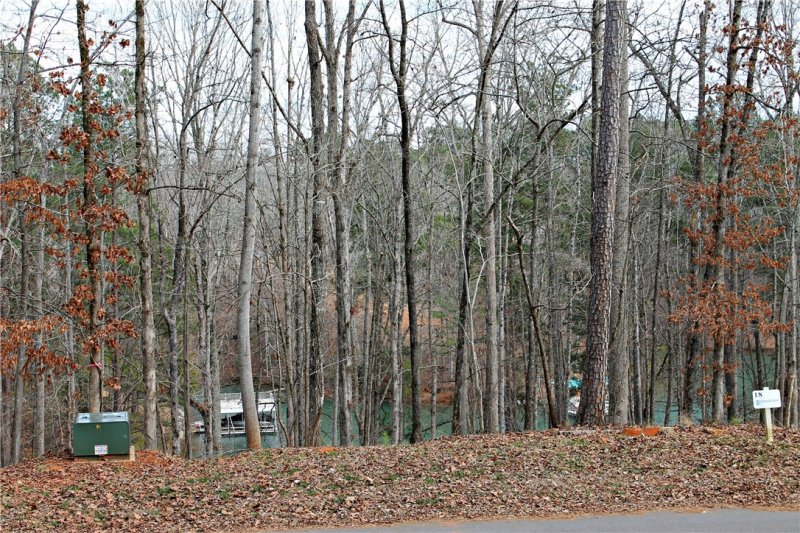 Property image 3 at Lot 47-B Retreat Pointe Road, West Union, SC 29696