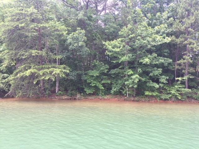 Property image 3 at Lot 57 Four Views Court, Seneca, SC 29672