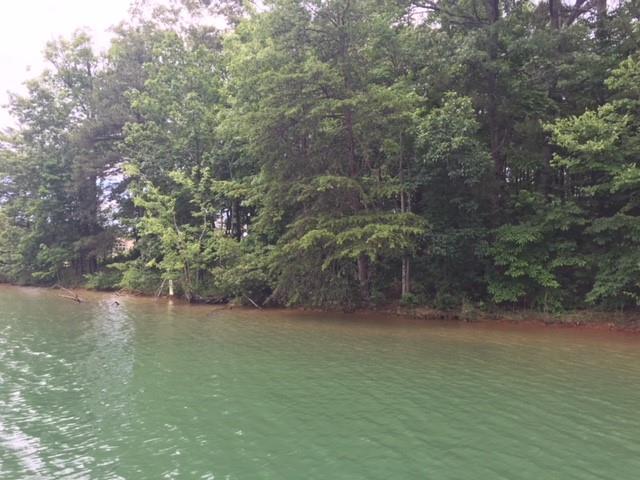 Property image 4 at Lot 57 Four Views Court, Seneca, SC 29672