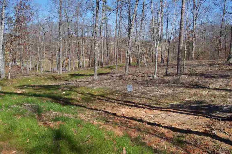 Property image 3 at Lot 9 Sixteenth Circle Drive, Walhalla, SC 29691