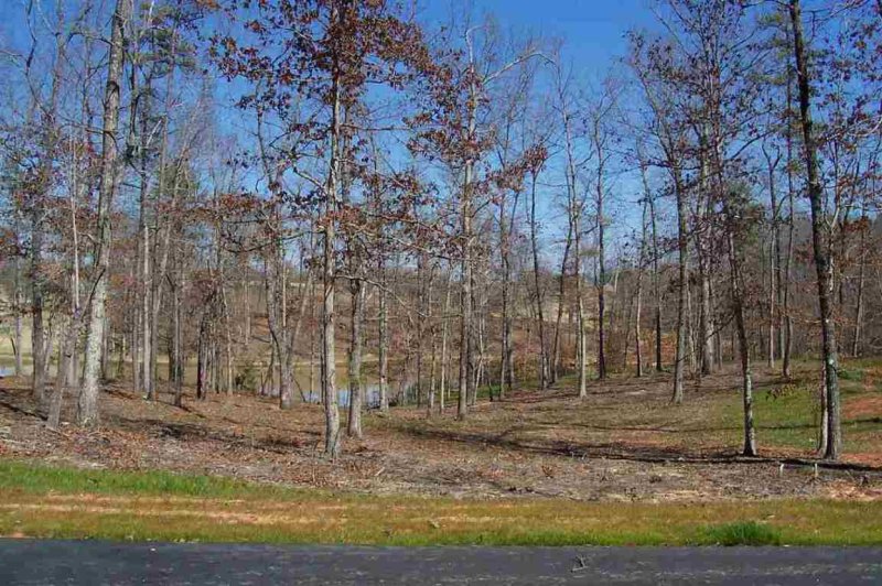 Property image 4 at Lot 9 Sixteenth Circle Drive, Walhalla, SC 29691