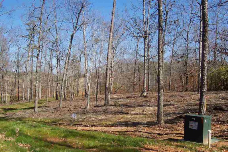 Property image 5 at Lot 9 Sixteenth Circle Drive, Walhalla, SC 29691