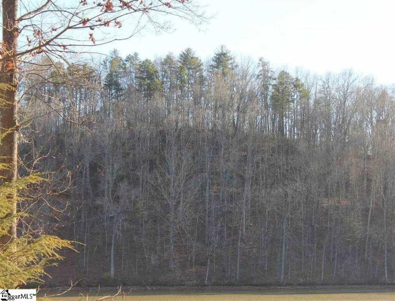 Property image 3 at Lot 12 Whitewater Lake Road, Tamassee, SC 29686