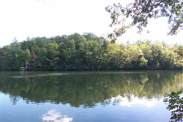 Property image 3 at 425 Lake Becky Road, Mountain Rest, SC 29664