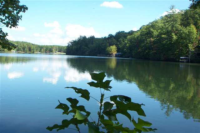 Property image 4 at 425 Lake Becky Road, Mountain Rest, SC 29664