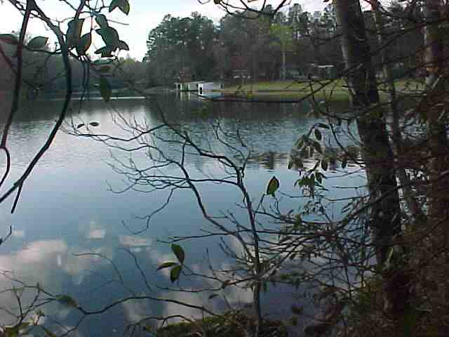 Property image 4 at 585 Lisa Lane, Mountain Rest, SC 29664