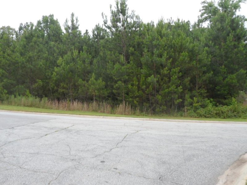 Property image 3 at 108 Abaco Lane Lot#37 Lane, Seneca, SC 29672