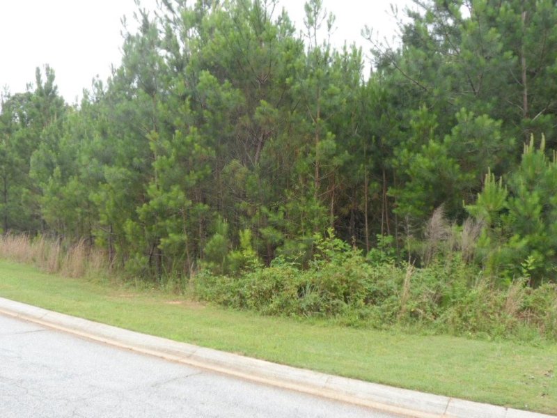 Property image 4 at 108 Abaco Lane Lot#37 Lane, Seneca, SC 29672