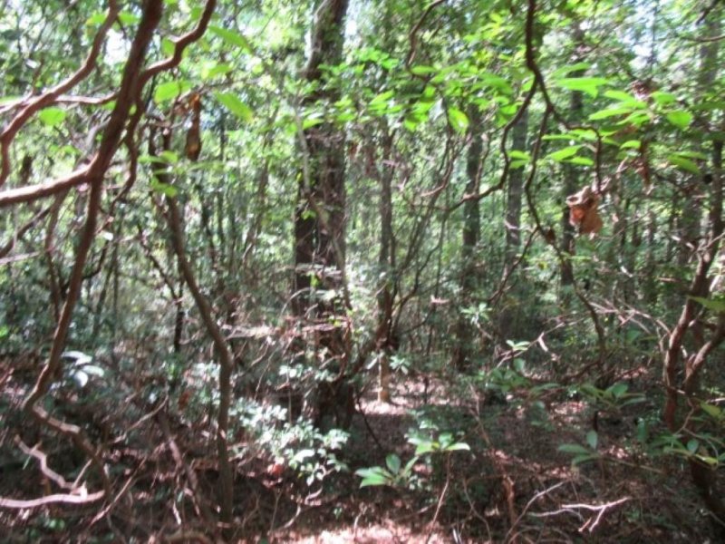 Property image 5 at 121 Woodmere Drive, Pickens, SC 29671