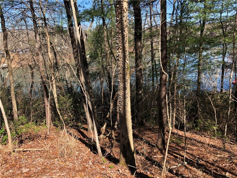 Property image 2 at Lot 8 Lake Becky Road, Mountain Rest, SC 29664