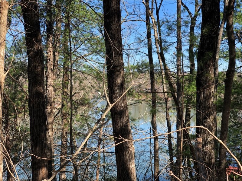 Property image 4 at Lot 8 Lake Becky Road, Mountain Rest, SC 29664