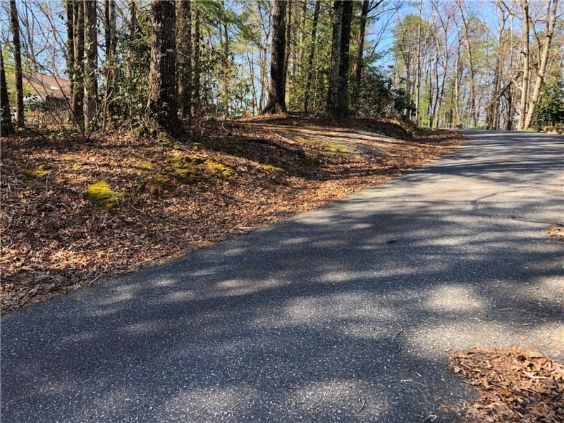 Property image 5 at Lot 8 Lake Becky Road, Mountain Rest, SC 29664