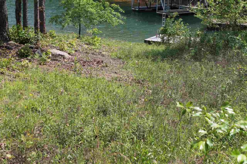 Property image 5 at 204 Bimini Drive, Seneca, SC 29672