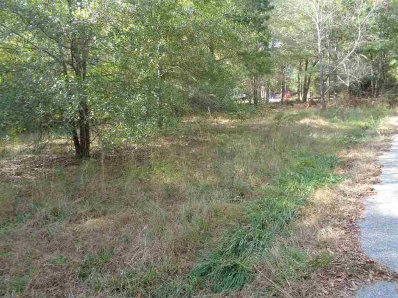 Property image 2 at 104 Gate Court, Williamston, SC 29697
