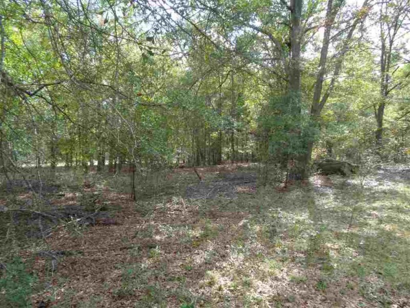 Property image 3 at 104 Gate Court, Williamston, SC 29697