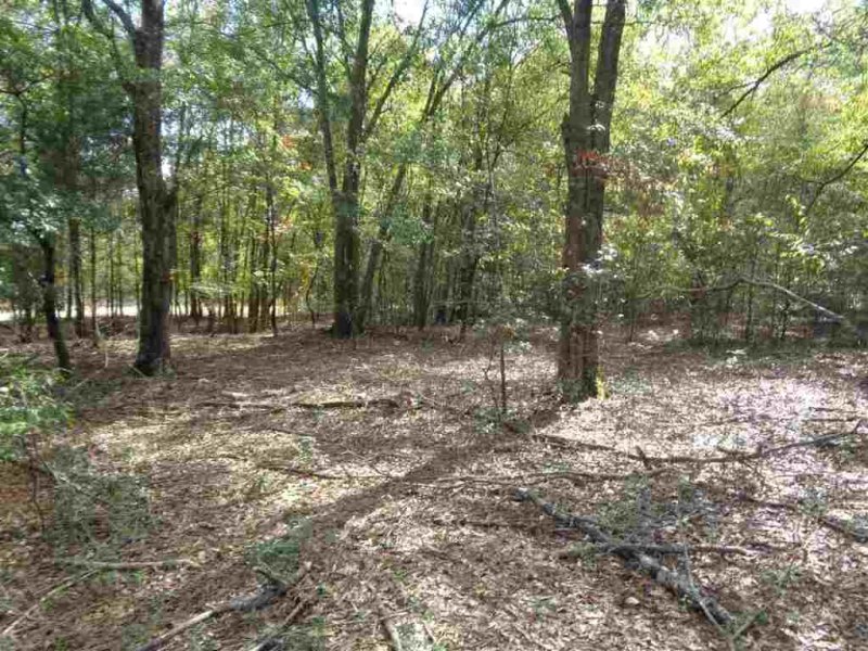 Property image 4 at 104 Gate Court, Williamston, SC 29697