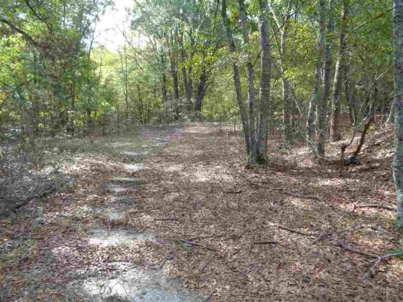 Property image 5 at 104 Gate Court, Williamston, SC 29697