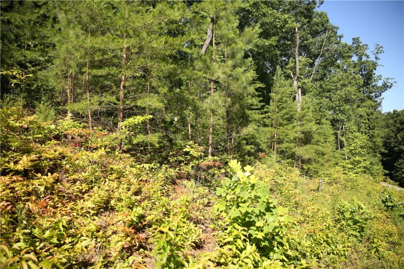 Property image 4 at Lot 32-A Paramount Circle, Seneca, SC 29678