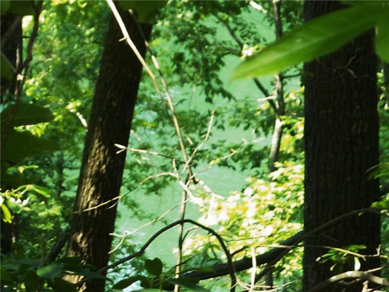 Property image 3 at 0000 Evergreen Ridge Road, Tamassee, SC 29686