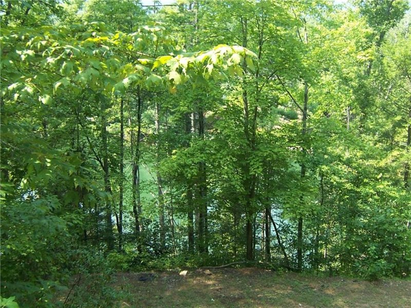 Property image 4 at 0000 Evergreen Ridge Road, Tamassee, SC 29686