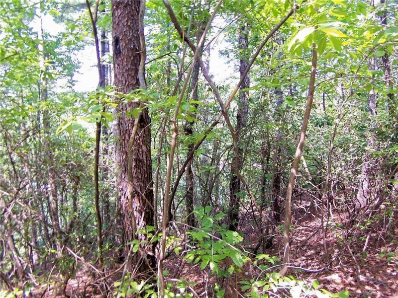 Property image 5 at 0000 Evergreen Ridge Road, Tamassee, SC 29686