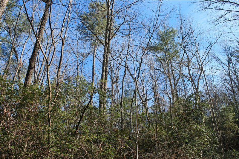 Property image 4 at Lot 39 Deertrail Road, Salem, SC 29676