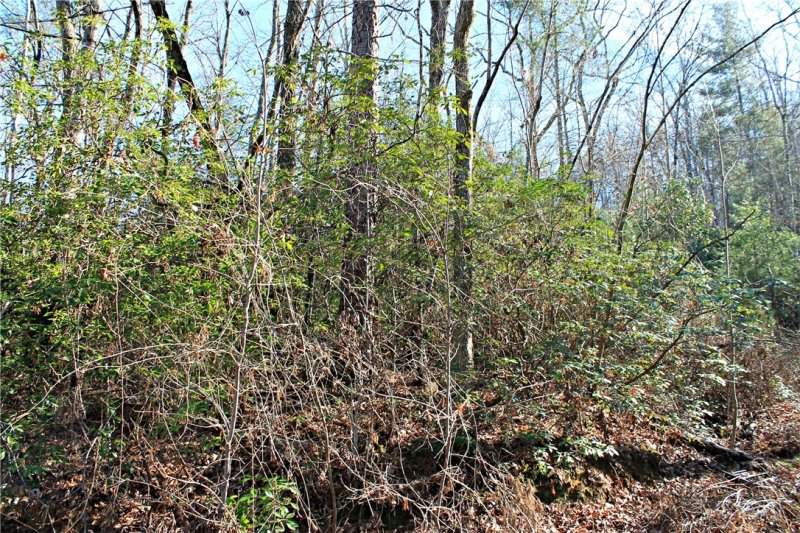 Property image 5 at Lot 39 Deertrail Road, Salem, SC 29676