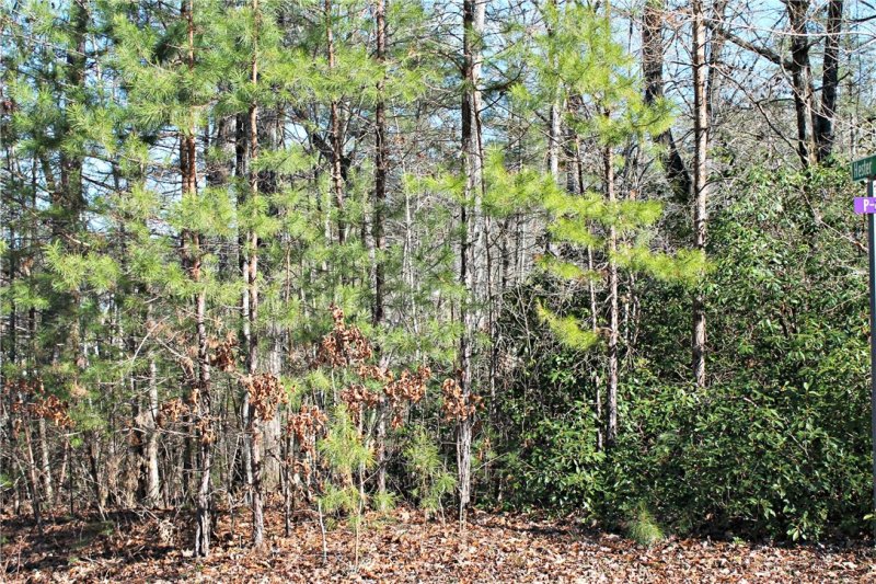 Property image 5 at Lot 45 Bay Ridge Drive, Salem, SC 29676