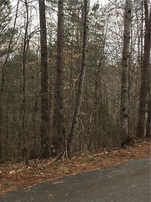 Property image 2 at Lot 57 Fox Run Road, Walhalla, SC 29691