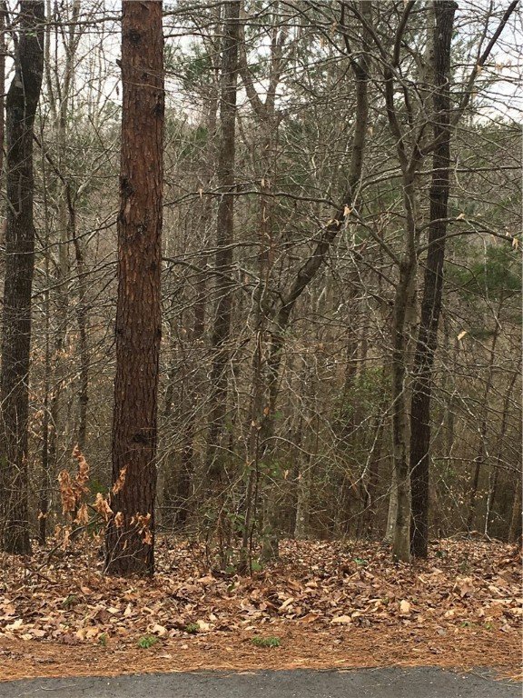 Property image 3 at Lot 57 Fox Run Road, Walhalla, SC 29691