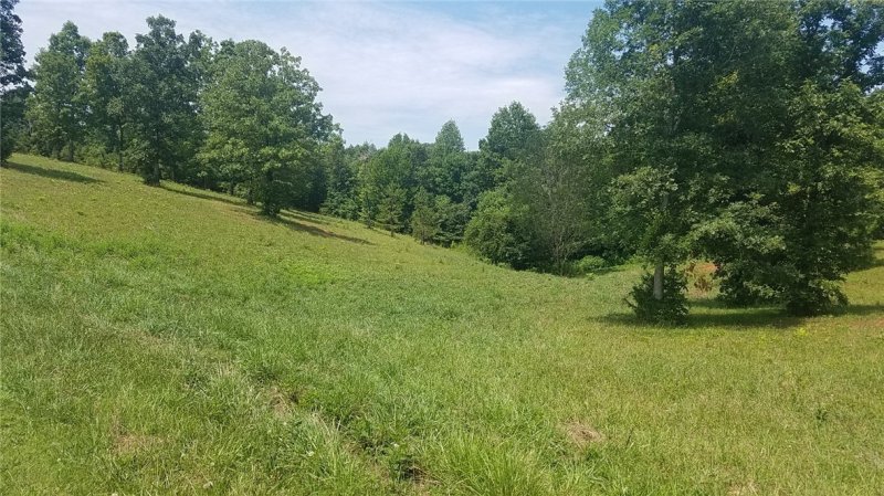 Property image 5 at Lot 20 Blue Mt. Estates Lariat Loop Drive, Seneca, SC 29672