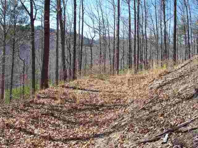 Property image 3 at 16 Windwsept Lane, Travelers Rest, SC 29690