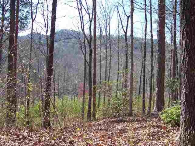 Property image 4 at 16 Windwsept Lane, Travelers Rest, SC 29690