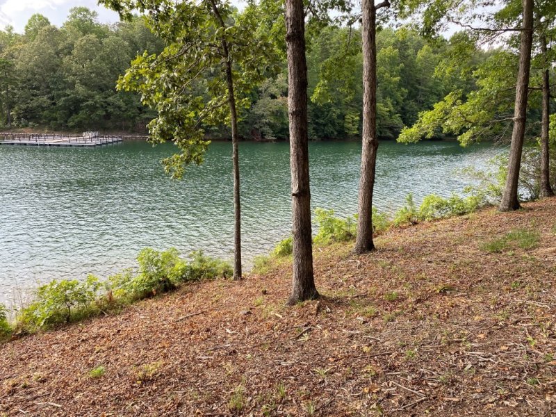 Property image 3 at 0 Sue Craig Road, Six Mile, SC 29682