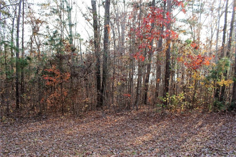 Property image 3 at 00 Overlook Drive, Fair Play, SC 29643