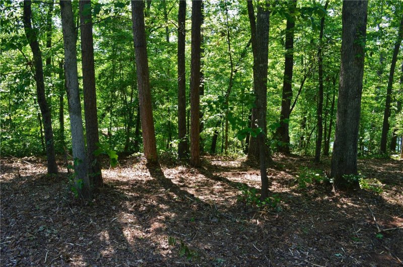 Property image 2 at 564 Riverstone Drive, Salem, SC 29676